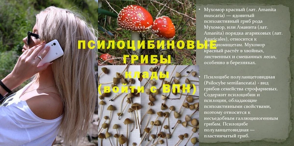 кокс Зерноград