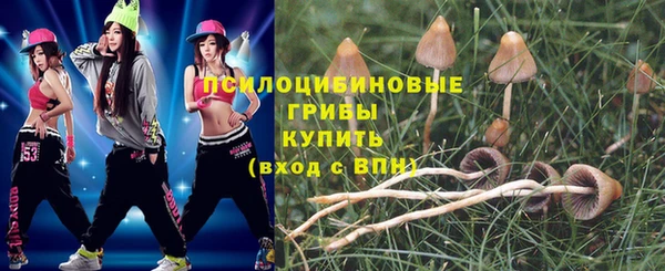 дурь Зеленодольск