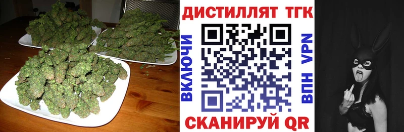 Купить где  Горбатов  Дистиллят ТГК концентрат 