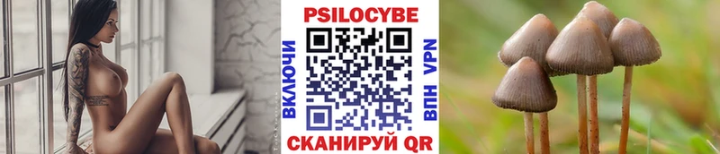 Псилоцибиновые грибы ЛСД Купить где Горбатов